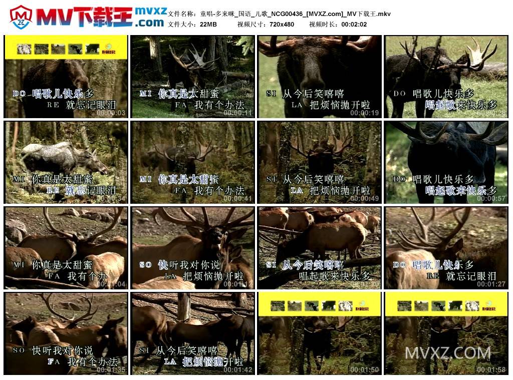 童唱-多来咪_国语_儿歌_NCG00436